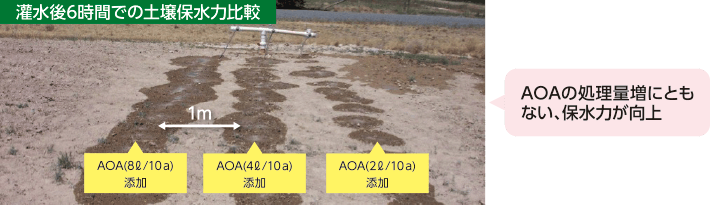 灌水後6時間での土壌保水力比較 AOAの処理量増にともない、保水力が向上