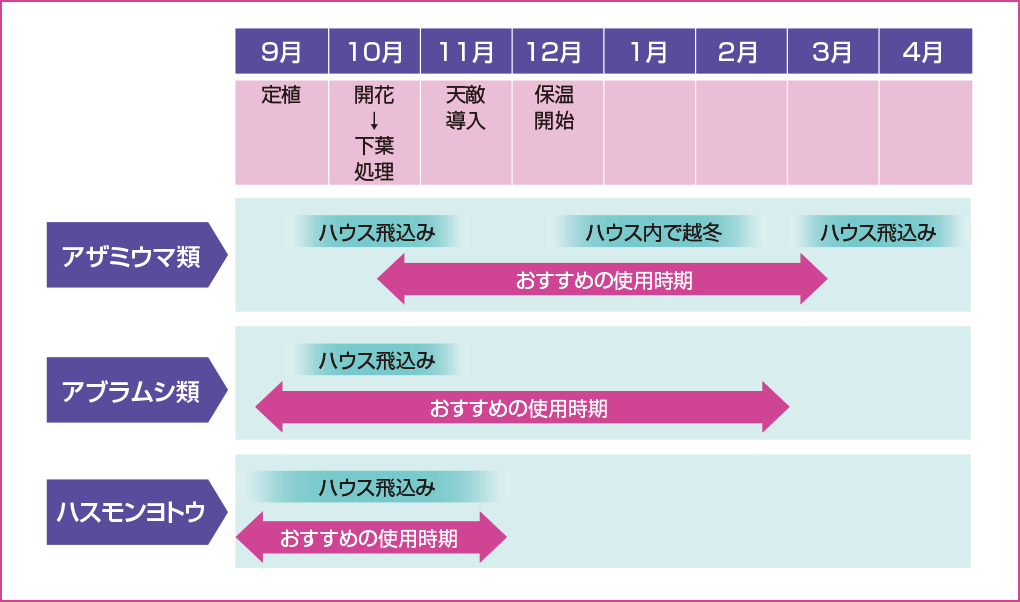 上手な使い方 いちご ベネビア Od 製品情報 Fmc エフエムシー ジャパン