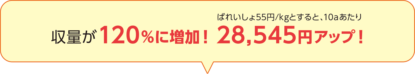 ばれいしょ55円/kgとすると、10aあたり収量が120％に増加！28,545円アップ！