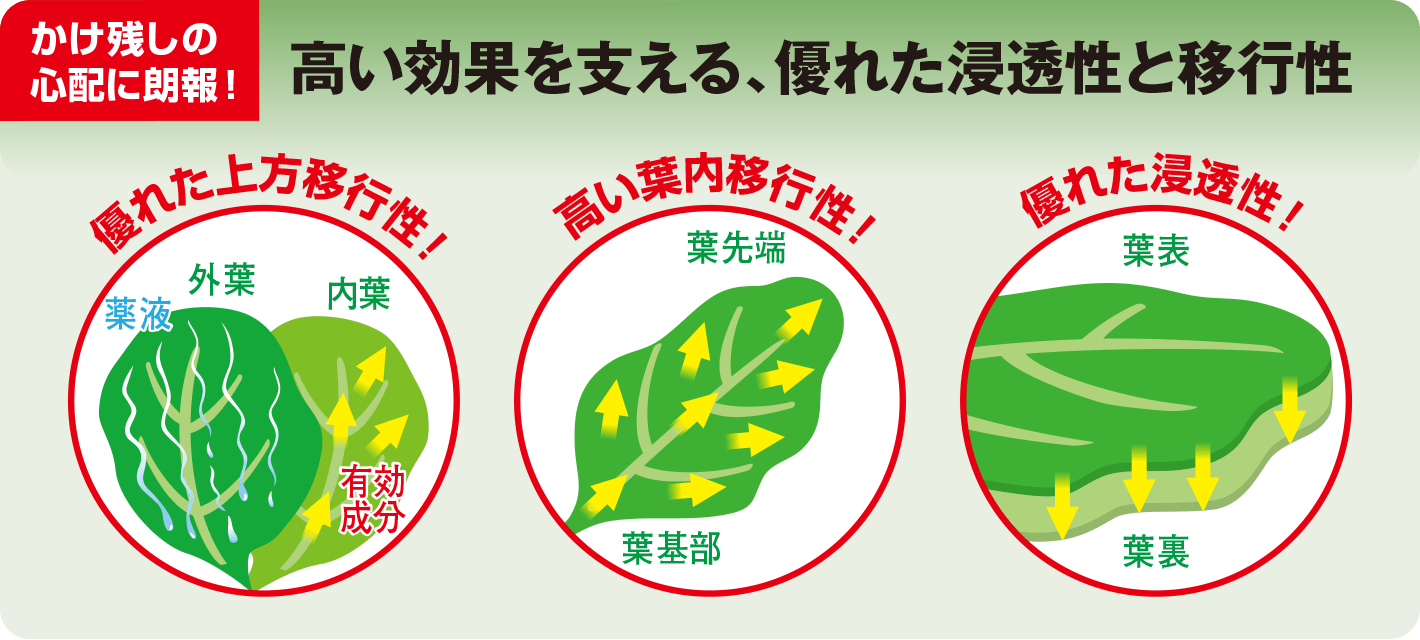 かけ残しの心配に朗報！ 高い効果を支える、優れた浸透性と移行性