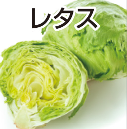 レタス