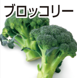 ブロッコリー