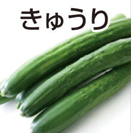 きゅうり
