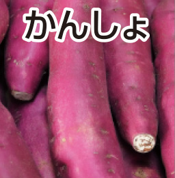 かんしょ
