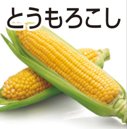 とうもろこし