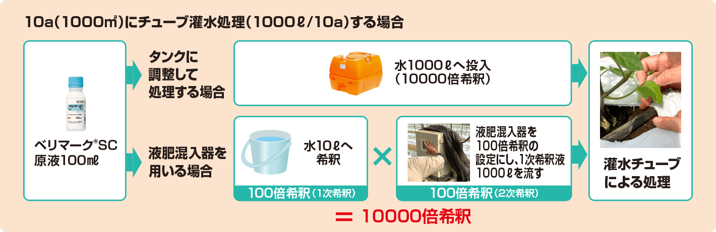 10a（1000㎡）にチューブ灌水処理（1000ℓ/10a）する場合