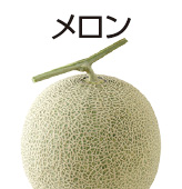 メロン
