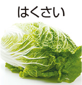 はくさい