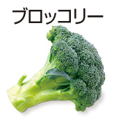 ブロッコリー