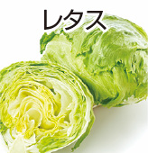 レタス