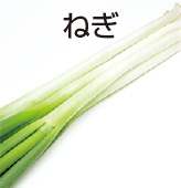ねぎ
