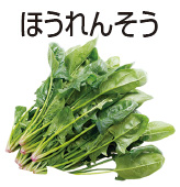 ほうれんそう