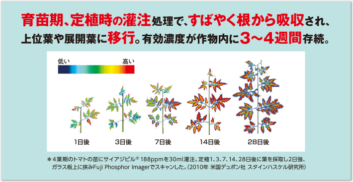 最大88%OFFクーポン 堀池商店ベリマークSC 100ml 殺虫剤