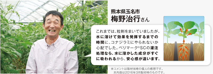 熊本県玉名市 梅野治行さん これまでは、粒剤をまいていましたが、水に溶けて効果を発揮するまでの時間に、コナジラミにやられないか心配でした。ベリマーク®SCの灌注処理なら、水に溶かした成分がすぐに吸われるから、安心感が違います。※コメントは取材当時の個人の感想です。本内容は2016年3月取材時のものです。