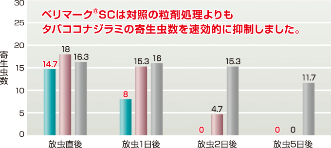 ベリマーク®SCは対照の粒剤処理よりもタバココナジラミの寄生虫数を速効的に抑制しました。