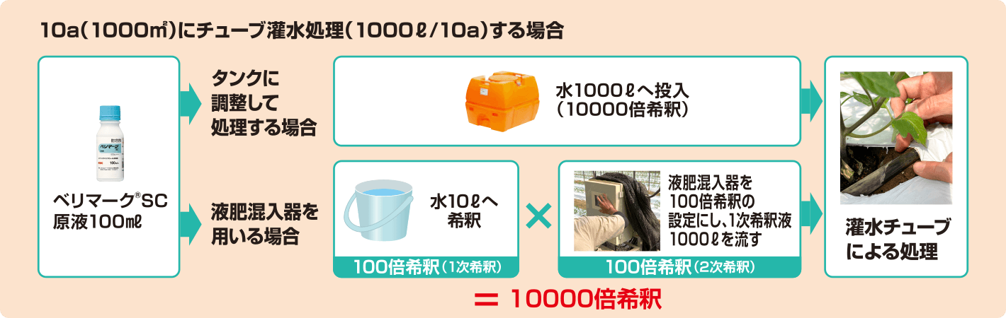 10a（1000㎡）にチューブ灌水処理（1000ℓ/10a）する場合