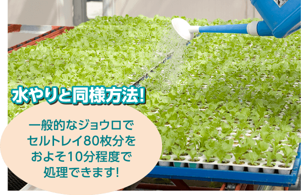 水やりと同様方法！一般的なジョウロでセルトレイ80枚分をおよそ10分程度で処理できます！