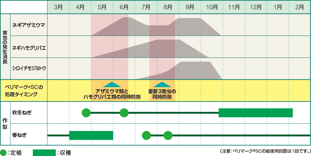 育苗期後半処理