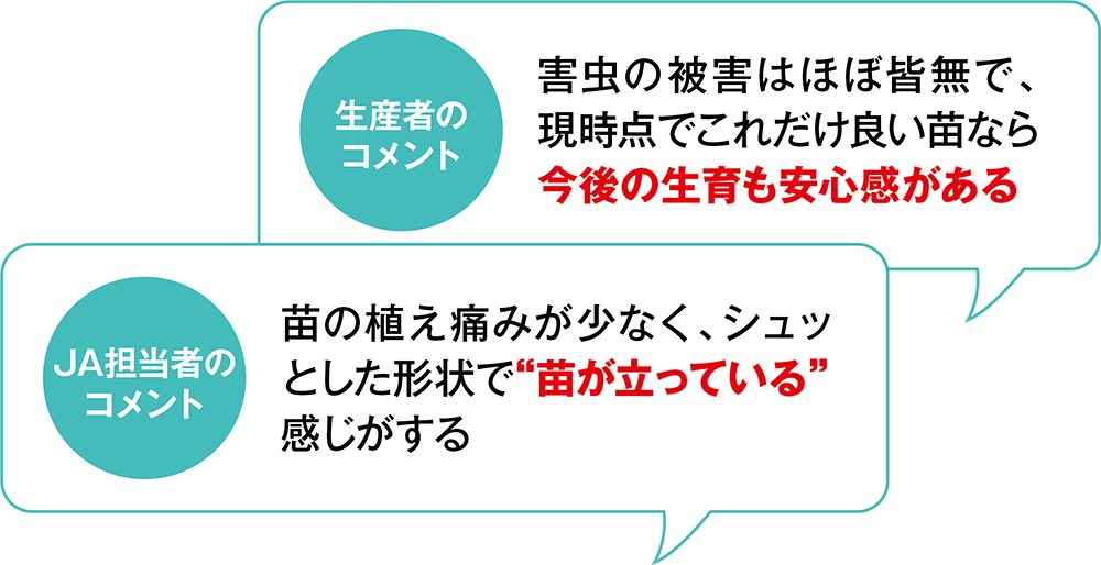 生産者のコメント「害虫の被害はほぼ皆無で、現時点でこれだけ良い苗なら今後の生育も安心感がある」 JA担当者のコメント「苗の植え痛みが少なく、シュッとした形状で“苗が立っている”感じがする」