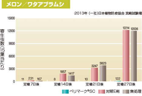 メロン／ワタアブラムシ