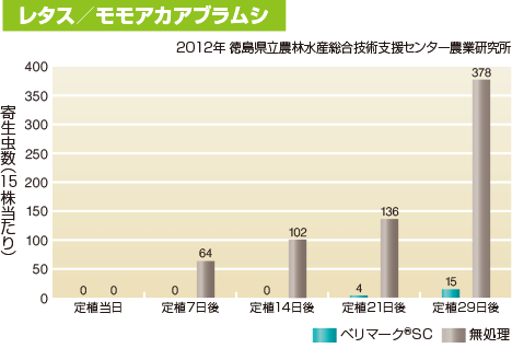 レタス／モモアカアブラムシ