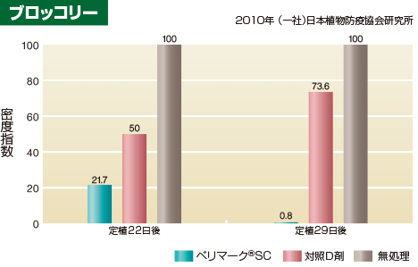 ブロッコリー