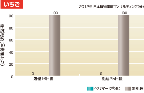 いちご