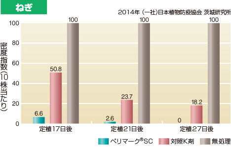 ねぎ