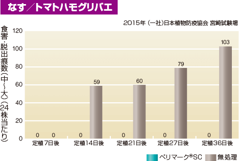 なす／トマトハモグリバエ