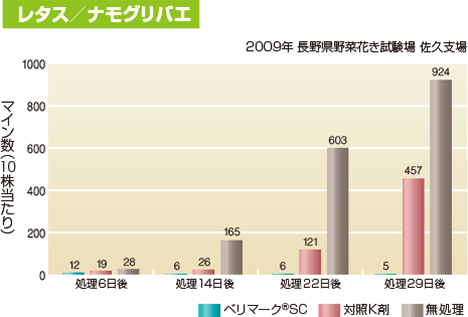 レタス／ナモグリバエ