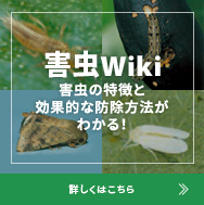 害虫Wiki 害虫の特徴と効果的な防除方法がわかる！